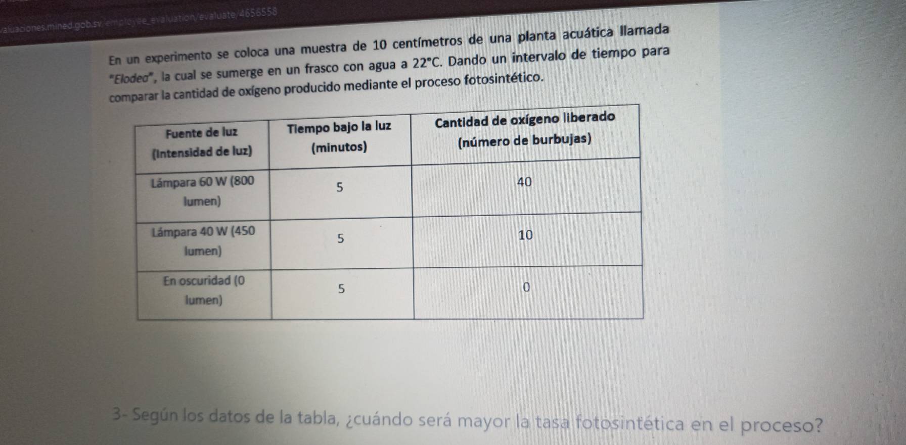 aciones.mined.gob.sv.e uation/evaluate/4656558 
En un experimento se coloca una muestra de 10 centímetros de una planta acuática llamada 
"Elodeø", la cual se sumerge en un frasco con agua a 22°C. Dando un intervalo de tiempo para 
a cantidad de oxígeno producido mediante el proceso fotosintético. 
3- Según los datos de la tabla, ¿cuándo será mayor la tasa fotosintética en el proceso?