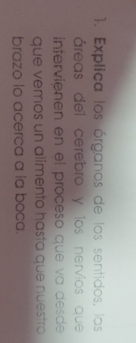 Explica los órganos de los sentidos, las 
áreas del cerebro y los nervíos que 
intervienen en el proceso que va desde 
que vemos un alimento hasta que nuestão 
brazo lo acerca a la boca.