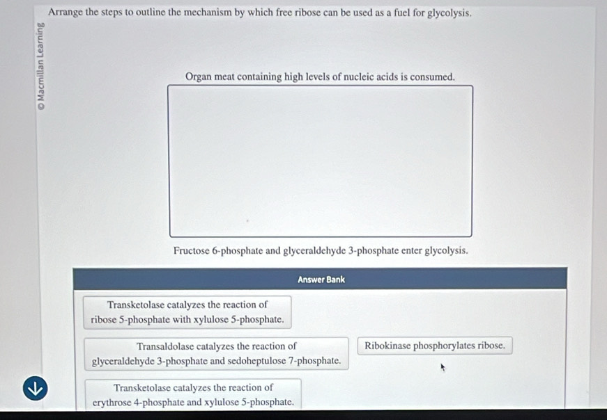 Arrange the steps to outline the mechanism by which free ribose can be used as a fuel for glycolysis.
Organ meat containing high levels of nucleic acids is consumed.
Fructose 6 -phosphate and glyceraldehyde 3 -phosphate enter glycolysis.
Answer Bank
Transketolase catalyzes the reaction of
ribose 5 -phosphate with xylulose 5 -phosphate.
Transaldolase catalyzes the reaction of Ribokinase phosphorylates ribose.
glyceraldehyde 3 -phosphate and sedoheptulose 7 -phosphate.
Transketolase catalyzes the reaction of
erythrose 4 -phosphate and xylulose 5 -phosphate.