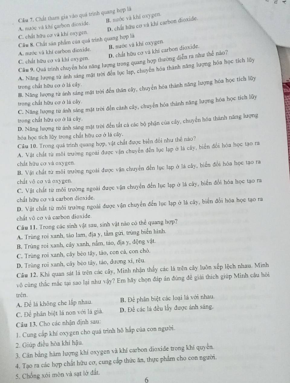 τ
Câu 7. Chất tham gia vào quá trình quang hợp là
A. nước và khí garbon dioxide. B. nước và khí oxygen.
D. chất hữu cơ và khí carbon dioxide.
C. chất hữu cơ và khí oxygen
Cầu 8, Chất sản phẩm của quá trình quang hợp là
A. nước và khí carbon dioxide. B. nước và khi oxygen.
D. chất hữu cơ và khí carbon dioxide.
C. chất hữu cơ và khi oxygen.
Câu 9. Quá trình chuyển hóa năng lượng trong quang hợp thường diễn ra như thế nảo?
A. Năng lượng tử ánh sáng mặt trời đến lục lạp, chuyển hóa thành năng lượng hóa học tích lũy
trong chất hữu cơ ở lá cây.
B. Năng lượng từ ánh sáng mặt trời đến thân cây, chuyển hóa thành năng lượng hóa học tích lũy
trong chất hữu cơ ở lá cây.
C. Năng lượng từ ánh sáng mặt trời đến cảnh cây, chuyển hóa thành năng lượng hóa học tích lũy
trong chất hữu cơ ở lá cây.
D. Nãng lượng từ ánh sáng mặt trời đến tất cả các bộ phận của cây, chuyển hóa thành năng lượng
hóa học tích lũy trong chất hữu cơ ở lá cây.
Câu 10. Trong quá trình quang hợp, vật chất được biến đổi như thế nào?
A. Vật chất từ môi trường ngoài được vận chuyển đến lục lạp ở lá cây, biển đổi hóa học tạo ra
chất hữu cơ và oxygen.
B. Vật chất từ môi trường ngoài được vận chuyển đến lục lạp ở lá cây, biến đổi hóa học tạo ra
chất vô cơ và oxygen.
C. Vật chất từ môi trường ngoài được vận chuyển đến lục lạp ở lá cây, biến đổi hóa học tạo ra
chất hữu cơ và carbon dioxide.
D. Vật chất từ môi trường ngoài được vận chuyển đến lục lạp ở lá cây, biến đổi hóa học tạo ra
chất vô cơ và carbon dioxide.
Câu 11. Trong các sinh vật sau, sinh vật nào có thể quang hợp?
A. Trùng roi xanh, tảo lam, địa y, tầm gửi, trùng biến hình.
B. Trùng roi xanh, cây xanh, nấm, tảo, địa y, động vật.
C. Trùng roi xanh, cây bèo tây, tảo, con cả, con chó.
D. Trùng roi xanh, cây bèo tây, tảo, dương xỉ, rêu.
Câu 12. Khi quan sát lá trên các cây, Minh nhận thấy các lá trên cây luôn xếp lệch nhau. Minh
vô cùng thắc mắc tại sao lại như vậy? Em hãy chọn đáp án đúng đề giải thích giúp Minh câu hỏi
trên.
A. Để lá không che lấp nhau. B. Để phân biệt các loại là với nhau.
C. Để phân biệt lá non với lá giả D. Đề các lá đều lấy được ánh sáng.
Câu 13. Cho các nhận định sau:
1. Cung cấp khí oxygen cho quá trình hô hấp của con người.
2. Giúp điều hòa khí hậu.
3. Cân bằng hàm lượng khí oxygen và khí carbon dioxide trong khí quyền.
4. Tạo ra các hợp chất hữu cơ, cung cấp thức ăn, thực phẩm cho con người.
5. Chống xói mòn và sạt lở đất.
6