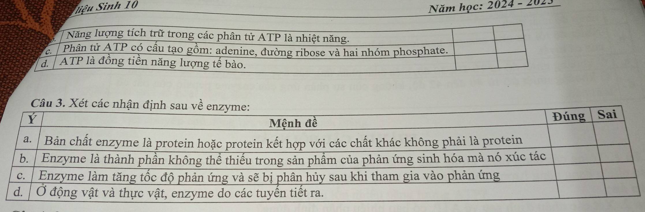 Siệu Sinh 10
Năm học: 202^2 4 - 2023