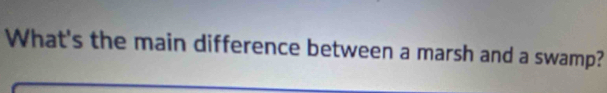 What's the main difference between a marsh and a swamp?