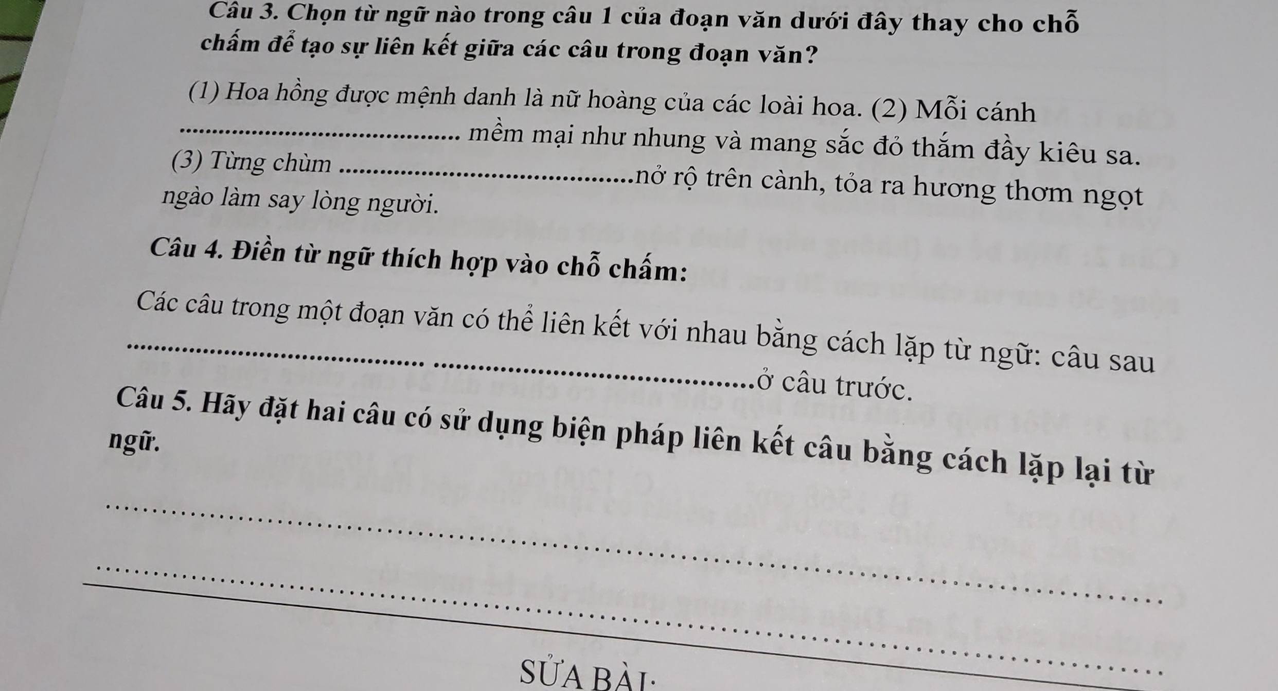 Chọn từ ngữ nào trong câu 1 của đoạn văn dưới đây thay cho chỗ 
chấm để tạo sự liên kết giữa các câu trong đoạn văn? 
_ 
(1) Hoa hồng được mệnh danh là nữ hoàng của các loài hoa. (2) Mỗi cánh 
mềm mại như nhung và mang sắc đỏ thắm đầy kiêu sa. 
(3) Từng chùm_ rnở rộ trên cành, tỏa ra hương thơm ngọt 
ngào làm say lòng người. 
Câu 4. Điền từ ngữ thích hợp vào chỗ chấm: 
_Các câu trong một đoạn văn có thể liên kết với nhau bằng cách lặp từ ngữ: câu sau 
ở câu trước. 
_ 
Câu 5. Hãy đặt hai câu có sử dụng biện pháp liên kết câu bằng cách lặp lại từ 
ngữ. 
_ 
_ 
sửa bài