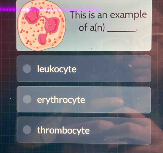 This is an example
of a(n) _.
leukocyte
erythrocyte
thrombocyte