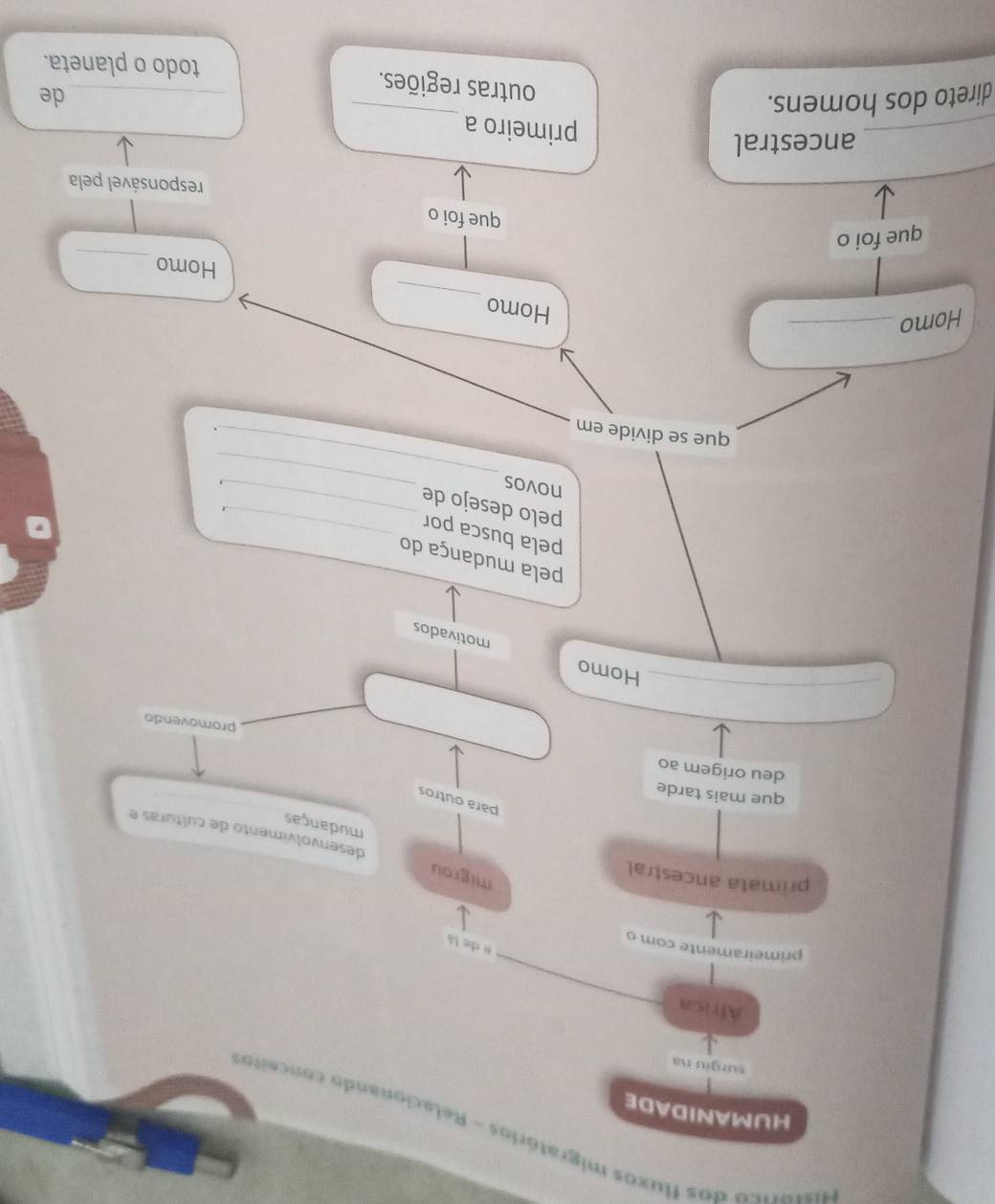 Histórico dos fluxos migratórios - Relacionando conceito 
HUMANIDADE 
surgiu na 
Africa 
primeiramente com o 
# de lá 
primata ancestral 
migrou desenvolvimento de culturas e 
mudanças 
para outros 
que mais tarde 
deu origem ao promovendo 
_ 
Homo motivados 
pela mudança do 
pela busca por_ 
pelo desejo de_ 
novos _. 
que se divide em 
_ 
、 
_ 
Homo_ 
Homo 
Homo 
que foi o 
_ 
que foi o 
responsável pela 
_ 
ancestral 
primeiro a 
direto dos homens. 
_ 
de 
outras regiões. _todo o planeta.