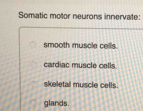 Somatic motor neurons innervate:
smooth muscle cells.
cardiac muscle cells.
skeletal muscle cells.
glands.