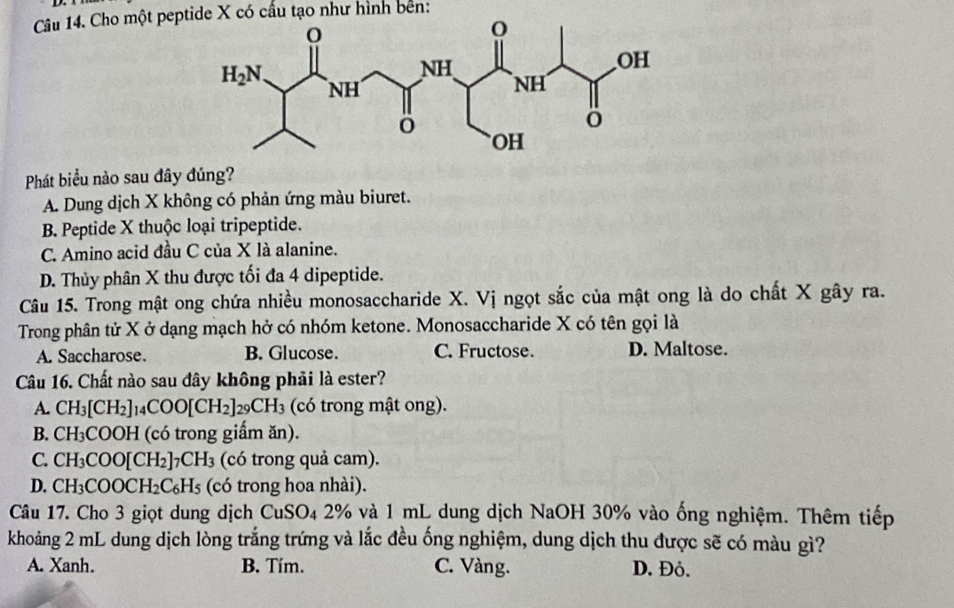 Cho một peptide X có cấu tạo như hình bên:
Phát biểu nào sau đây đúng?
A. Dung dịch X không có phản ứng màu biuret.
B. Peptide X thuộc loại tripeptide.
C. Amino acid đầu C của X là alanine.
D. Thủy phân X thu được tối đa 4 dipeptide.
Câu 15. Trong mật ong chứa nhiều monosaccharide X. Vị ngọt sắc của mật ong là do chất X gây ra.
Trong phân tử X ở dạng mạch hở có nhóm ketone. Monosaccharide X có tên gọi là
A. Saccharose. B. Glucose. C. Fructose. D. Maltose.
Câu 16. Chất nào sau đây không phải là ester?
A. CH_3[CH_2] 1_14COO[CH_2]_29CH_3 (có trong mật ong).
B. CH_3 COOH (có trong giấm ăn).
C. CH_3 CO O[CH_2]_7CH_3 (có trong quả cam).
D. CH_3COOCH_2C_6H_5 (có trong hoa nhài).
Câu 17. Cho 3 giọt dung dịch CuSO_42% 6 và 1 mL dung dịch NaOH 30% vào ống nghiệm. Thêm tiếp
khoảng 2 mL dung dịch lòng trắng trứng và lắc đều ống nghiệm, dung dịch thu được sẽ có màu gì?
A. Xanh. B. Tím. C. Vàng. D. Đỏ.