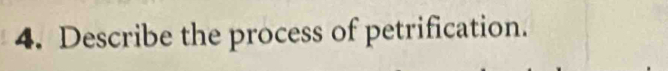 Describe the process of petrification.