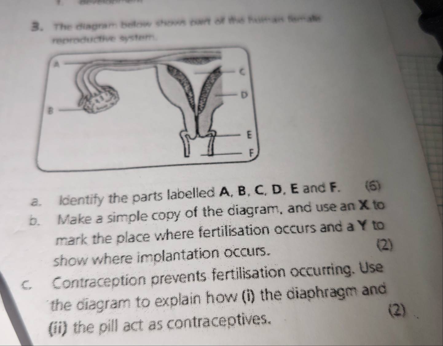 The diagram below shows oart of the human famalls 
reproductive systern. 
a. Identify the parts labelled A, B, C, D, E and F. (6) 
b. Make a simple copy of the diagram, and use an X to 
mark the place where fertilisation occurs and a Y to 
show where implantation occurs. 
(2) 
c Contraception prevents fertilisation occurring. Use 
the diagram to explain how (i) the diaphragm and 
(2) 
(ii) the pill act as contraceptives.