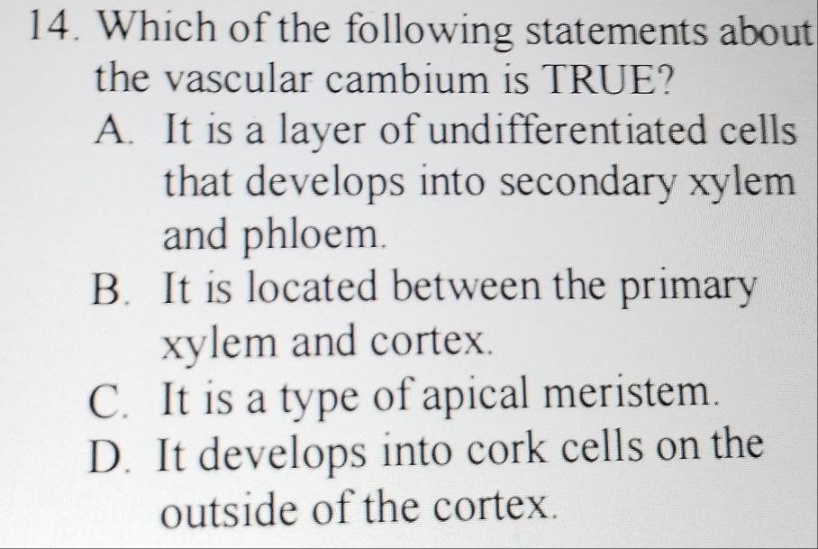 Which of the following statements about
the vascular cambium is TRUE?
A. It is a layer of undifferentiated cells
that develops into secondary xylem
and phloem.
B. It is located between the primary
xylem and cortex.
C. It is a type of apical meristem.
D. It develops into cork cells on the
outside of the cortex.