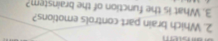 Which brain part controls emotions? 
3. What is the function of the brainstem?