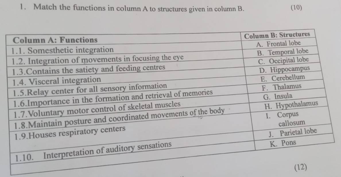 Match the functions in column A to structures given in column B. (10)