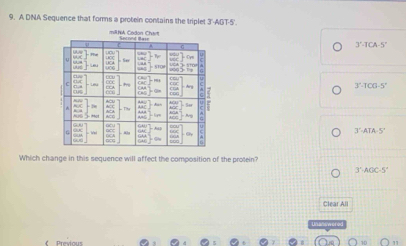 A DNA Sequence that forms a protein contains the triplet 3'-AGT-5'.
3^2-1(A-5°
3'-1-100· 5°
3'-ATA-5'
Which change in this sequence will affect the composition of the protein?
3°· AOC· 5°
Clear All
Previous overline □ 1= overline □ )=8