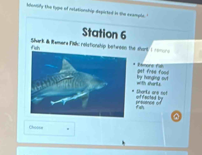 Identify the type of relationship depicted in the example. " 
Station 6 
Shark & Remere Fish: relationship between the shark $ remore 
fish 
Remora fish 
get free food 
by hanging out 
with sharks. 
Sharks are not 
affected by 
presence of 
fish 
Choose