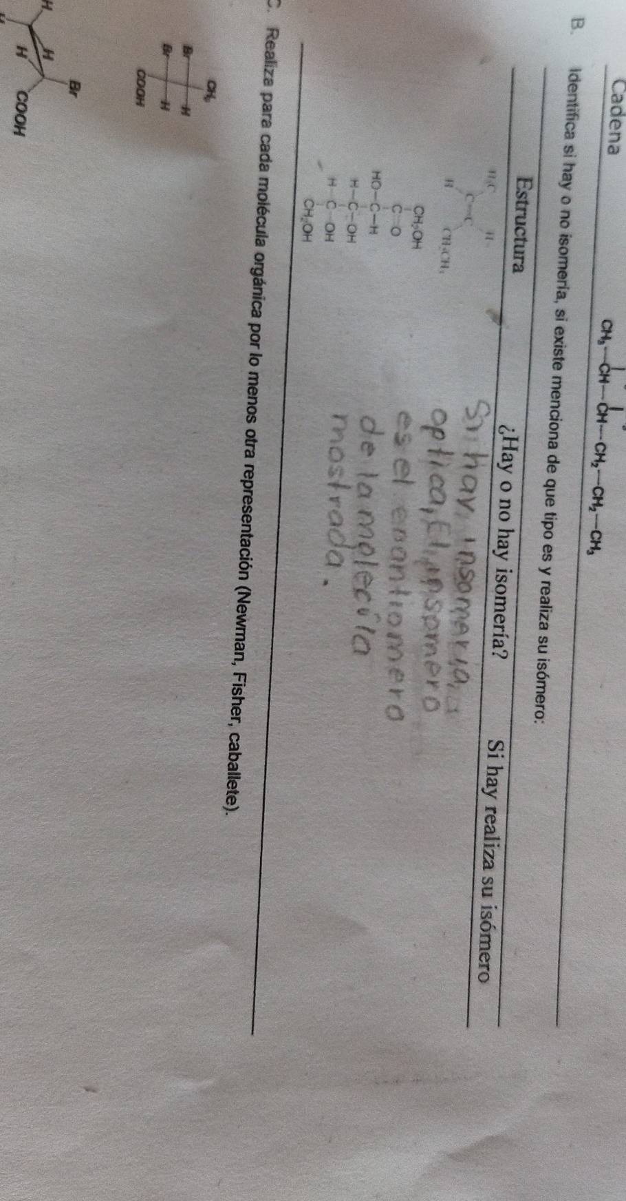 Cadena
CH_3-CH-CH-CH_2-CH_2-CH_3
B. identifica si hay o no isomería, si existe menciona de que tipo es y realiza su isómero: 
Estructura ¿Hay o no hay isomería? Si hay realiza su isómero 
n,c it 
44 C liCH
CH_2OH
C_O
HO-C-H
H-C-OH
H-C-OH
CH_2OH
C. Realiza para cada molécula orgánica por lo menos otra representación (Newman, Fisher, caballete).
CH,
B H
Br
COOH
Br
H. H
H COOH