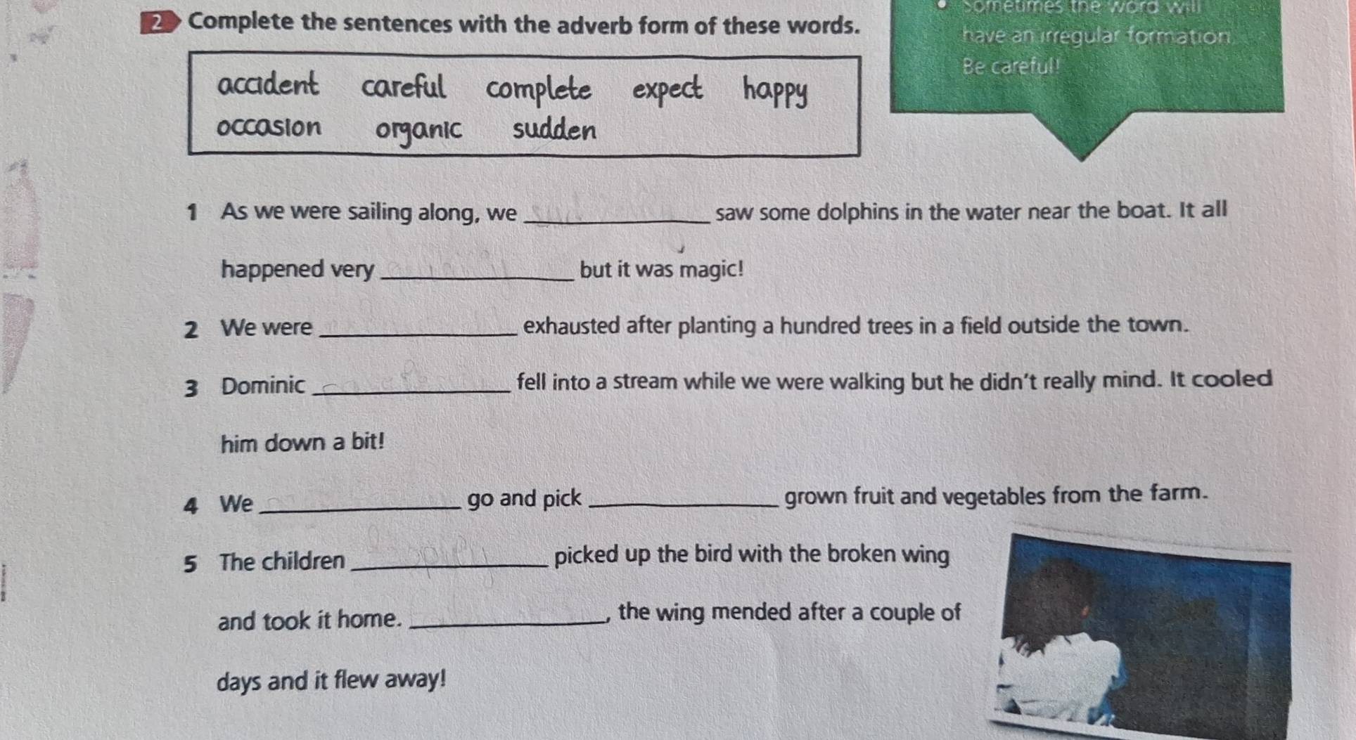 Sometimes the word will 
Complete the sentences with the adverb form of these words. 
have an irregular formation 
Be careful! 
accident careful complete expect happy 
occasion organic sudden 
1 As we were sailing along, we _saw some dolphins in the water near the boat. It all 
happened very_ but it was magic! 
2 We were _exhausted after planting a hundred trees in a field outside the town. 
3 Dominic _fell into a stream while we were walking but he didn't really mind. It cooled 
him down a bit! 
4 We_ go and pick _grown fruit and vegetables from the farm. 
5 The children _picked up the bird with the broken wing 
and took it home. _, the wing mended after a couple of
days and it flew away!