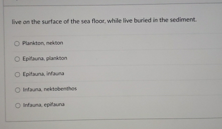 live on the surface of the sea floor, while live buried in the sediment.
Plankton, nekton
Epifauna, plankton
Epifauna, infauna
Infauna, nektobenthos
Infauna, epifauna