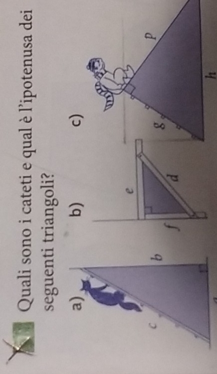 Quali sono i cateti e qual è l'ipotenusa dei 
seguenti triangoli?