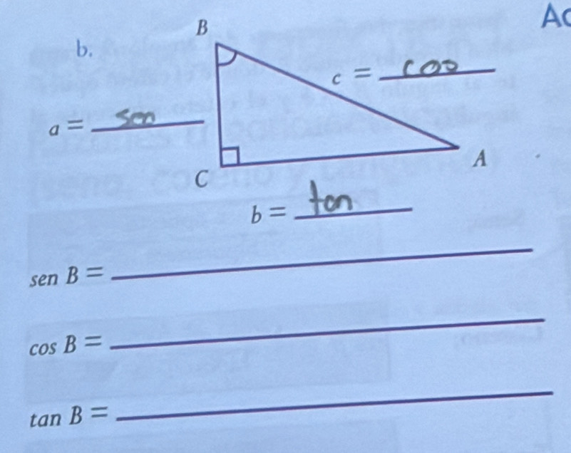 b=
_
senB=
_
cos B=
_
tan B=
_