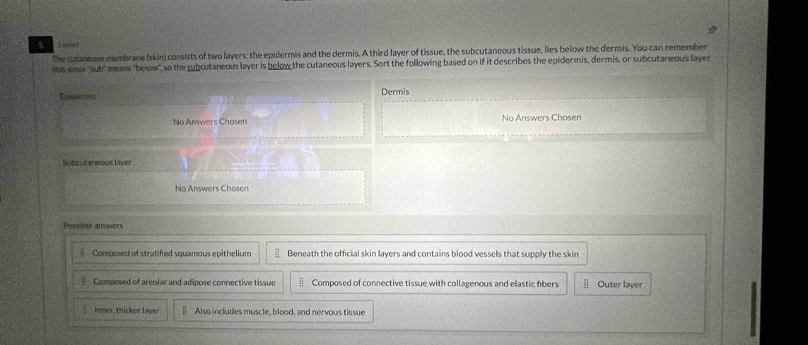 point
The cutaneous membrane (skin) consists of two layers: the epidermis and the dermis. A third layer of tissue, the subcutaneous tissue, lies below the dermis. You can remember
this since "sub" means "below", so the subcutaneous layer is below the cutaneous layers. Sort the following based on if it describes the epidermis, dermis, or subcutaneous layer
Eoldermis Dermis
No Answers Chosen No Answers Chosen
Subcutaneous laver
No Answers Chosen
Possible answers
Composed of stratifed squamous epithelium § Beneath the official skin layers and contains blood vessels that supply the skin
§ Composed of areolar and adipose connective tissue Composed of connective tissue with collagenous and elastic fibers Outer layer
Inner, thicker layer Also includes muscle, blood, and nervous tissue