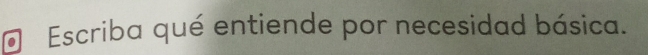Escriba qué entiende por necesidad básica.