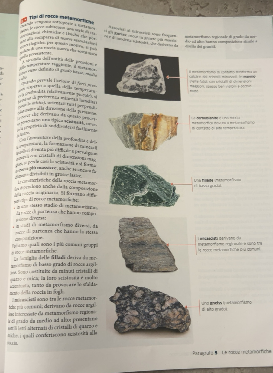 Risolto:a Tipi di rocce metamorfiche Quando vengono sottoposte a ...