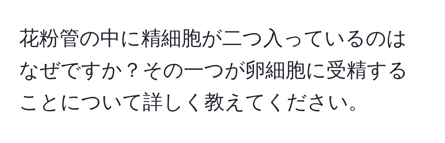 花粉管の中に精細胞が二つ入っているのはなぜですか？その一つが卵細胞に受精することについて詳しく教えてください。