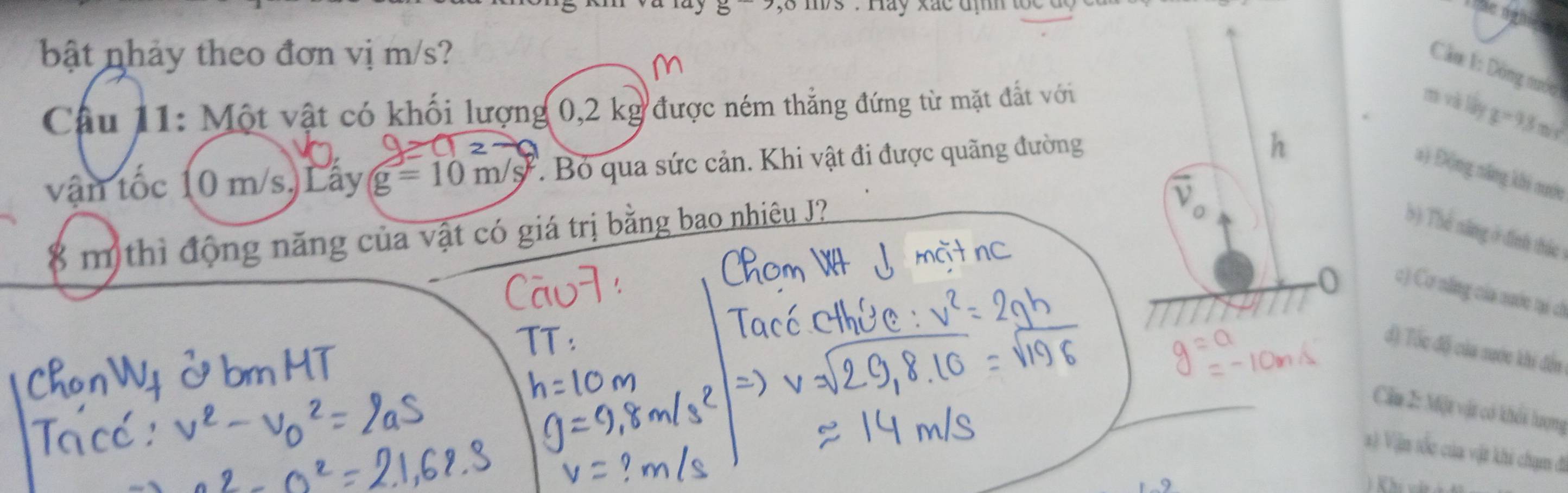 bật nhảy theo đơn vị m/s?
Câm 1: Đông nưới
Câu 11: Một vật có khối lượng 0,2 kg được ném thẳng đứng từ mặt đất với
m và lityz=9.3mis^2
vận tốc 10 m/s,)Lây g=10m/s. Bỏ qua sức cản. Khi vật đi được quãng đường
a) Động năng khi nước
8 m thì động năng của vật có giá trị bằng bao nhiêu J? 
5) Thể năng ở đình thắc
c) Cơ nẵng của nước tại c
đ) Tốc độ của sước khi đến
Cău 2: Miột vật có khổi lượng
) Vận tốc của vật khi chạm đi