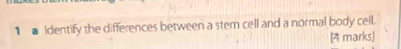 identify the differences between a stem cell and a normal body cell. 
[4 marks]