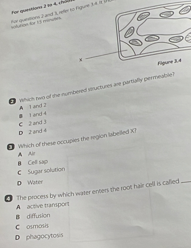 For questions 2 to 4, choos
For questions 2 and 3, refer to Figure 3.4. It sH
solution for 15 minutes.
Which two of the numbered structures are partially permeable?
A 1 and 2
B 1 and 4
C 2 and 3
D 2 and 4
3 Which of these occupies the region labelled X?
A Air
B Cell sap
C Sugar solution
D Water
The process by which water enters the root hair cell is called_
A active transport
B diffusion
C osmosis
D phagocytosis