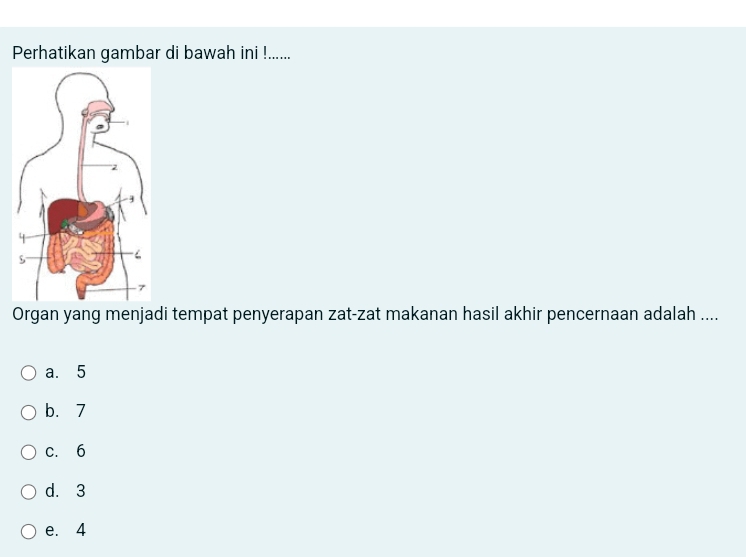 Perhatikan gambar di bawah ini !......
Organ yang menjadi tempat penyerapan zat-zat makanan hasil akhir pencernaan adalah ....
a. 5
b. 7
c. 6
d. 3
e. 4