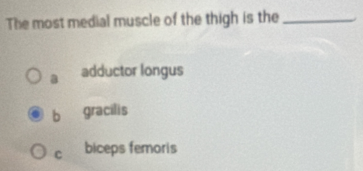 The most medial muscle of the thigh is the_
adductor longus
gracilis
C biceps femoris