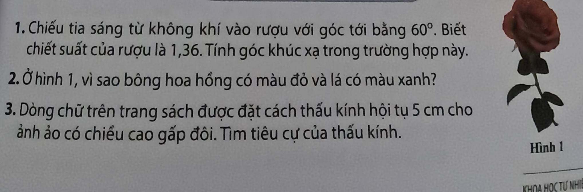 Chiếu tia sáng từ không khí vào rượu với góc tới bằng 60°. Biết 
chiết suất của rượu là 1, 36. Tính góc khúc xạ trong trường hợp này. 
2. Ở hình 1, vì sao bông hoa hồng có màu đỏ và lá có màu xanh? 
3. Dòng chữ trên trang sách được đặt cách thấu kính hội tụ 5 cm cho 
ảnh ảo có chiều cao gấp đôi. Tìm tiêu cự của thấu kính. 
Hình 1 
_ 
KHOA HOC TƯ NHI!