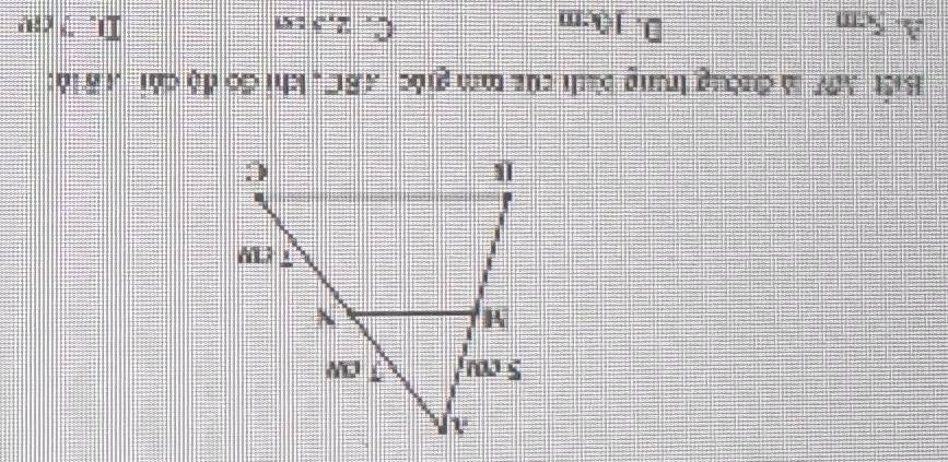 Biết AV là đường trung bìah của tm giác ABC , khi đo độ cái B là:
A. 5cm D. 10cm C. 2,3 tm D. ? c