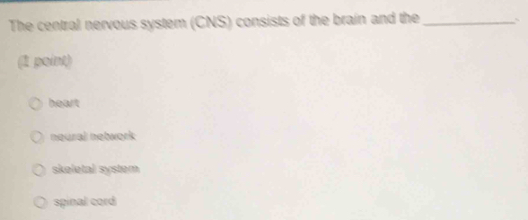 The central nervous system (CNS) consists of the brain and the_

(1 point)
heart
neural network
skeletal system
spinal cord