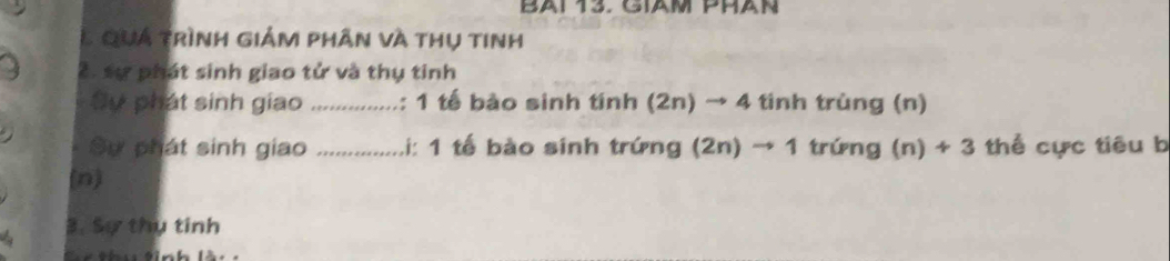 Bai 13. Giảm phan 
L Quá trình giảm phân và thụ tinh 
2. sự phát sinh giao tử và thụ tinh 
Cự phát sinh giao _: 1 tế bào sinh tính (2n) → 4 tinh trùng (n) 
- Sự phát sinh giao _Li: 1 tế bào sinh trứng (2n) → 1 trứng (n) + 3 thể cực tiêu b 
(n) 
3. Sự thụ tỉnh