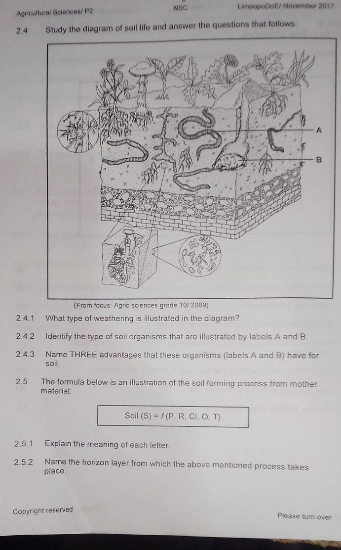 NSC LimpopoDoE/ November 2017 
Agricultural Sciences/ P2 
2.4 Study the diagram of soil life and answer the questions that follows: 
sc) 
2.4.1 What type of weathering is illustrated in the diagram? 
2.4.2 Identify the type of soil organisms that are illustrated by labels A and B. 
2.4.3 Name THREE advantages that these organisms (labels A and B) have for 
soil. 
2.5 The formula below is an illustration of the soil forming process from mother 
material:
Soil(S)=f(P,R,CI,O,T)
2.5.1 Explain the meaning of each letter. 
2.5.2 Name the horizon layer from which the above mentioned process takes 
place. 
Copyright reserved 
Please turn over