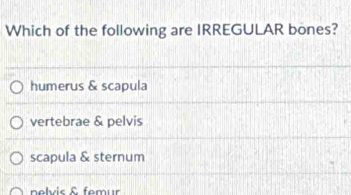 Which of the following are IRREGULAR bones?
humerus & scapula
vertebrae & pelvis
scapula & sternum
nelvis & femur