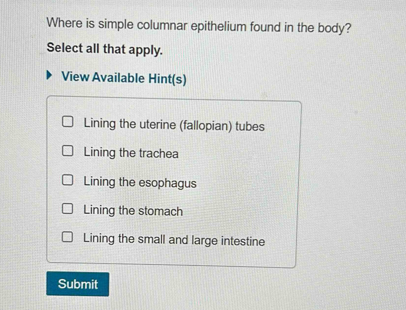 Where is simple columnar epithelium found in the body?
Select all that apply.
View Available Hint(s)
Lining the uterine (fallopian) tubes
Lining the trachea
Lining the esophagus
Lining the stomach
Lining the small and large intestine
Submit