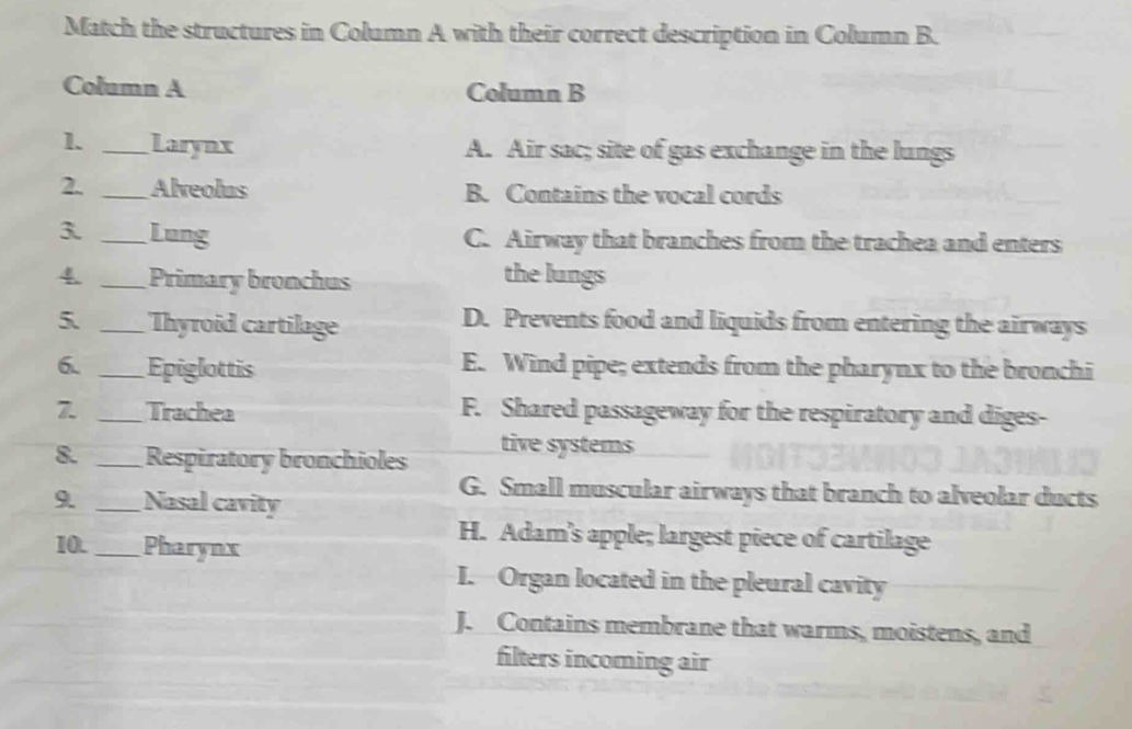 Match the structures in Column A with their correct description in Column B.
Column A Column B
1. _Larynx A. Air sac; site of gas exchange in the lungs
2. _Alveolus B. Contains the vocal cords
3. _Lung C. Airway that branches from the trachea and enters
4. _Primary bronchus the lungs
5. _Thyroid cartilage
D. Prevents food and liquids from entering the airways
6. _Epiglottis E. Wind pipe; extends from the pharynx to the bronchi
7. _Trachea F. Shared passageway for the respiratory and diges-
8. _Respiratory bronchioles tive systems
9 _Nasal cavity
G. Small muscular airways that branch to alveolar ducts
10._ Pharynx
H. Adam's apple; largest piece of cartilage
I. -Organ located in the pleural cavity
J. Contains membrane that warms, moistens, and
filters incoming air