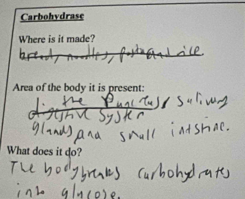 Carbohydrase 
Where is it made? 
Area of the body it is present: 
What does it do?