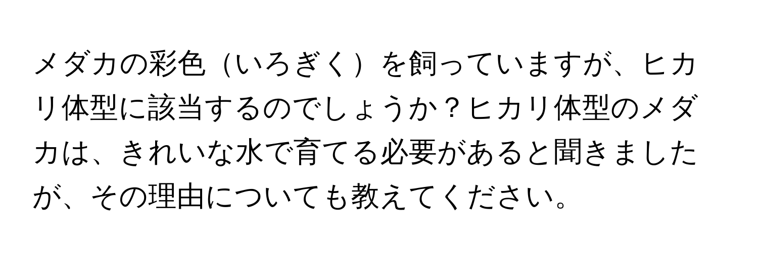 メダカの彩色いろぎくを飼っていますが、ヒカリ体型に該当するのでしょうか？ヒカリ体型のメダカは、きれいな水で育てる必要があると聞きましたが、その理由についても教えてください。