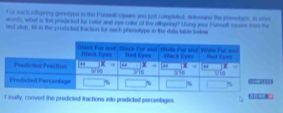 For each ofispring genotype in the Punneft square you just completed, determine the phenolype. to other 
words, what is the predicted fur color and eye color of the offspring? Using your Punnell squire from the 
last step, fill in the predicted fraction for each phenotype in the data table below 
Finally, convert the predicted fractions into predicted percentages. DON w