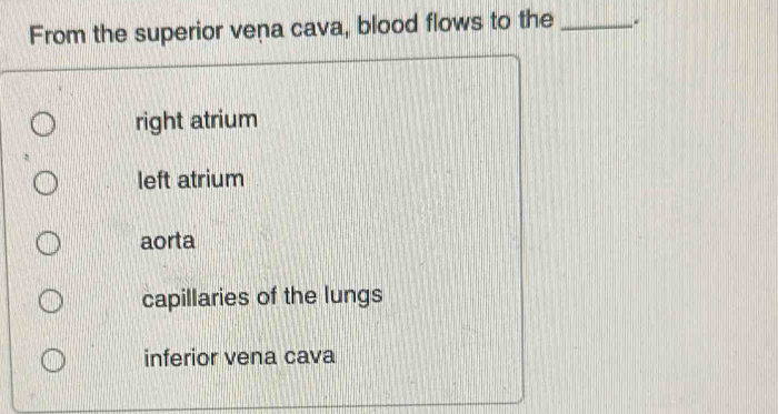 From the superior vena cava, blood flows to the _.
right atrium
left atrium
aorta
capillaries of the lungs
inferior vena cava