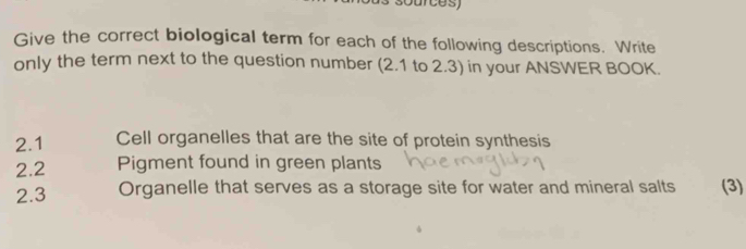 ource s) 
Give the correct biological term for each of the following descriptions. Write 
only the term next to the question number (2.1 to 2.3) in your ANSWER BOOK. 
2.1 Cell organelles that are the site of protein synthesis 
2. 2 Pigment found in green plants 
2.3 Organelle that serves as a storage site for water and mineral salts (3)