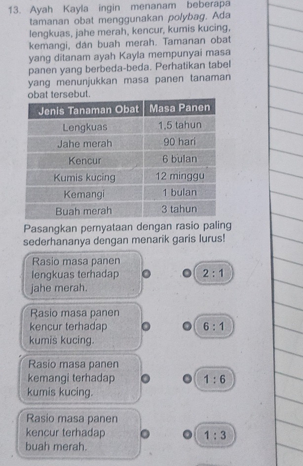 Ayah Kayla ingin menanam beberapa
tamanan obat menggunakan polybag. Ada
lengkuas, jahe merah, kencur, kumis kucing,
kemangi, dan buah merah. Tamanan obat
yang ditanam ayah Kayla mempunyai masa
panen yang berbeda-beda. Perhatikan tabel
yang menunjukkan masa panen tanaman
Pasangkan pernyataan dengan rasio paling
sederhananya dengan menarik garis lurus!
Rasio masa panen
lengkuas terhadap 2:1
jahe merah.
Rasio masa panen
kencur terhadap 6:1
kumis kucing.
Rasio masa panen
kemangi terhadap 1:6
kumis kucing.
Rasio masa panen
kencur terhadap 1:3
buah merah.