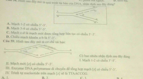 Hình sau đây mô tả quá trình tái bản của DNA, nhận định sau đây đúng?
A. Mạch 1-2 có chiều 5°-3'.
B. Mạch 3-4 có chiều 3^3-5^3.
C. Mạch c-d là mạch mới được tổng hợp liên tục có chiều 5'-3-3^n.
D. Chiều mạch khuôn a-b là 5^x-3^x. 
Câu 59. Hinh sau đây mô tả cơ chế tái bản:
bao nhiêu nhận định sau đây đủng
I. Mạch 1-2 có chiều 3^r-5^r. 
II. Mạch mới [ z ] có chiều 5°-3'. 
III. Enzyme DNA polymerase di chuyền để tổng hợp mạch [ z ] có chiều 5'-3'. 
IV. Trình tự nucleotide trên mạch [ z ] sẽ là TTAACCGG.
A. 1. B. 2. C 3