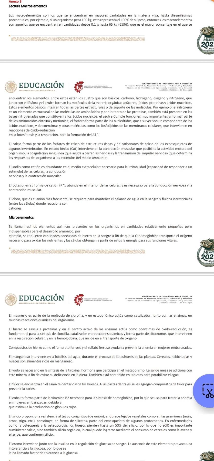 Lectura Macroelementos
porcentuales; por ejemplo, si un organismo pesa 100 kg, esto representa el 100% de su peso, entonces los macroelementos
son aquellos que se encuentren en cantidades desde 0.1 g hasta 65 kg (6596), que es el mayor porcentaje en el que se
202
educación
encuentran los elementos. Entre éstos están los cuatro que son básicos: carbono, hidrógeno, oxígeno y nitrógeno, que
junto con el fósforo y el azufre forman las moléculas de la materia orgánica: azúcares, lípidos, proteínas y ácidos nucleicos.
Estos elementos básicos integran todas las partes estructurales o de soporte de las moléculas. Por ejemplo: el nitrógeno
es un elemento estructural en las moléculas de aminoácidos y por lo tanto de las proteínas, también está presente en las
nácidos nucleicos, y de coenzimas y otras moléculas como los fosfolípidos de las membranas celulares, que intervienen en
reacciones de óxido-reducción
en la fotosíntesis y la respiración, para la formación del ATP.
El calcio forma parte de los fosfatos de calcio de estructuras óseas y de carbonatos de calcio de los exoesqueletos de
algunos invertebrados. En estado iónico (Cat) interviene en la contracción muscular que posibilita la actividad motora del
organismo, la coagulación sanguínea (que avuda a cerrar las heridas) y la transmisión del impulso nervioso (que determina
las respuestas del organismo a los estímulos del medio ambiente).
El sodio como catión es abundante en el medio extracelular; necesario para la irritabilidad (capacidad de responder a un
El potasio, en su forma de catión (K^* 0, abunda en el interior de las células, y es necesario para la conducción nerviosa y la
contracción muscular.
(entre las células) donde reacciona con
cationes.
Microelementos
indispensables para el desarrollo armónico; por
ejemplo, se requieren cantidades adecuadas de hierro en la sangre a fin de que la O hemoglobina transporte el oxígeno
was éxic
202
educación
El hierro se asocia a proteínas y en el centro activo de las enzimas actúa como coenzimas de óxido-reducción; es
fundamental para la síntesis de clorofila, catalizador en reacciones químicas y forma parte de citocromos, que intervienen
Compuestos de hierro como el fumarato ferroso y el sulfato ferroso ayudan a prevenir la anemía en mujeres embarazadas.
nueces son alimentos ricos en manganeso.
El yodo es necesario en la síntesis de la tiroxina, hormona que participa en el metabolismo. La sal de mesa se adiciona con
El flúor se encuentra en el esmalte dentario y de los huesos. A las pastas dentales se les agregan compuestos de flúor para
prevenir la caries.
El cobalto forma parte de la vitamina B2 necesaria para la síntesis de hemoglobina, por lo que se usa para tratar la anemia
en mujeres embarazadas, debido a
que estimula la producción de glóbulos rojos.
como la osteopenia y la osteoporosis, los huesos pierden hasta un 50% del silicio, por lo que no sól0 es importante
suministrar calcio, sino también silicio orgánico, lo cual puede lograrse mediante el consumo de cereales como la avena y
el arroz, que contienen silicio.
El cromo interviene junto con la insulina en la regulación de glucosa en sangre. La ausencia de este elemento provoca una
intolerancia a la glucosa, por lo que se