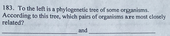 To the left is a phylogenetic tree of some organisms. 
According to this tree, which pairs of organisms are most closely 
related? 
_and_