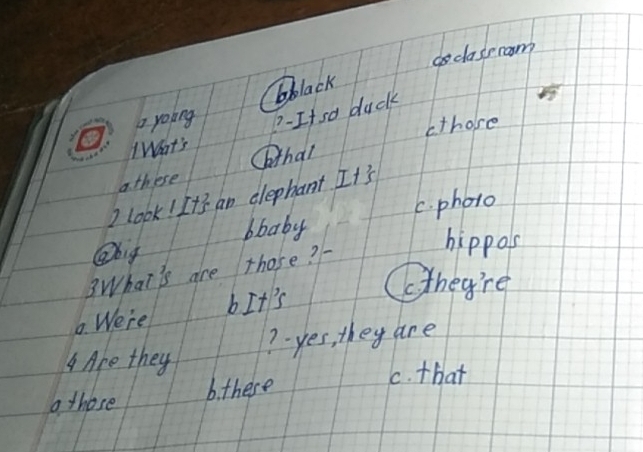 claseraom
bblack
a yoing 7 -If so duck
IWhat's b those
a these Cthai
I look! It's an elephant. It's
Qbig bbaby C. photo
hippos
3What's are those?
Cthey're
. We're bIt's
7. yes, they are
A Are they
C. that
a those b. these